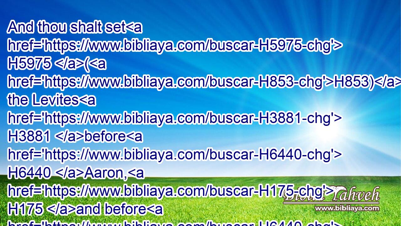And thou shalt set H5975 (H853) the Levites H3881 before H6440 Aaron, H175 and before H6440 his sons, H1121 and offer H5130 them for an offering H8573 unto the LORD.H3068