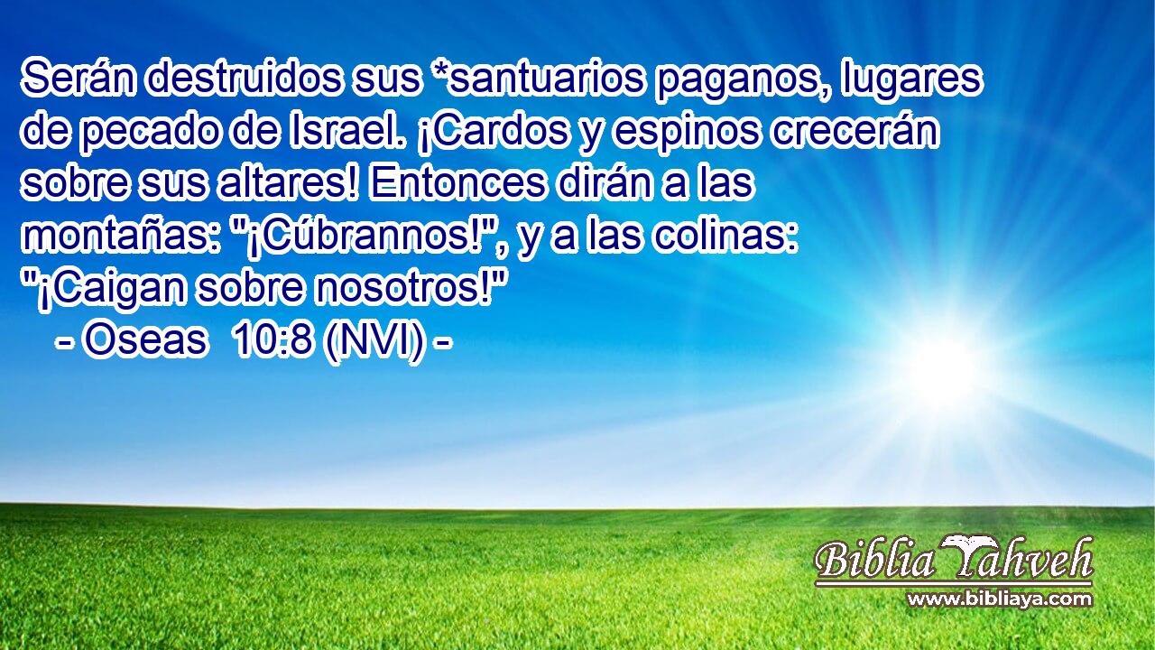  Serán destruidos sus *santuarios paganos, lugares de pecado de Israel. ¡Cardos y espinos crecerán sobre sus altares! Entonces dirán a las montañas: 
