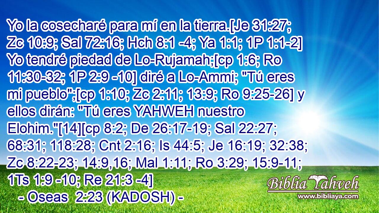  Yo la cosecharé para mí en la tierra.[Je 31:27; Zc 10:9; Sal 72:16; Hch 8:1 -4; Ya 1:1; 1P 1:1-2] Yo tendré piedad de Lo-Rujamah;[cp 1:6; Ro 11:30-32; 1P 2:9 -10] diré a Lo-Ammi; 