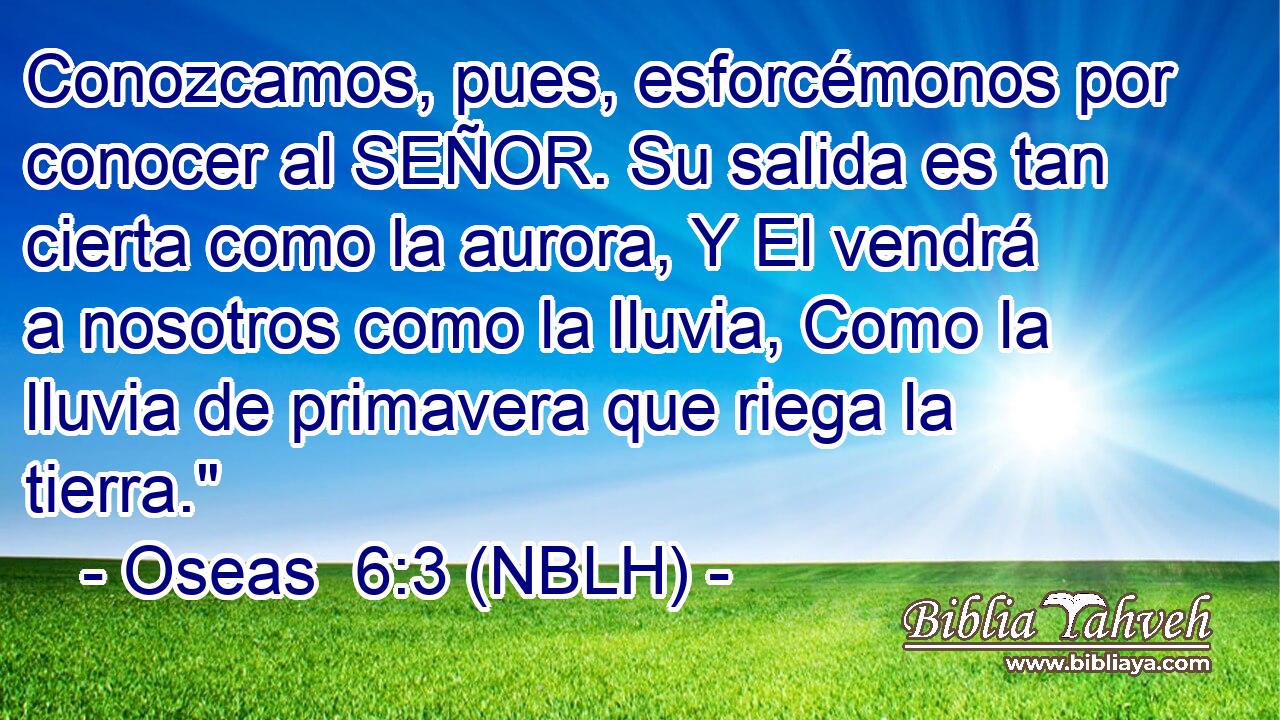  Conozcamos, pues, esforcémonos por conocer al SEÑOR. Su salida es tan cierta como la aurora, Y El vendrá a nosotros como la lluvia, Como la lluvia de primavera que riega la tierra.