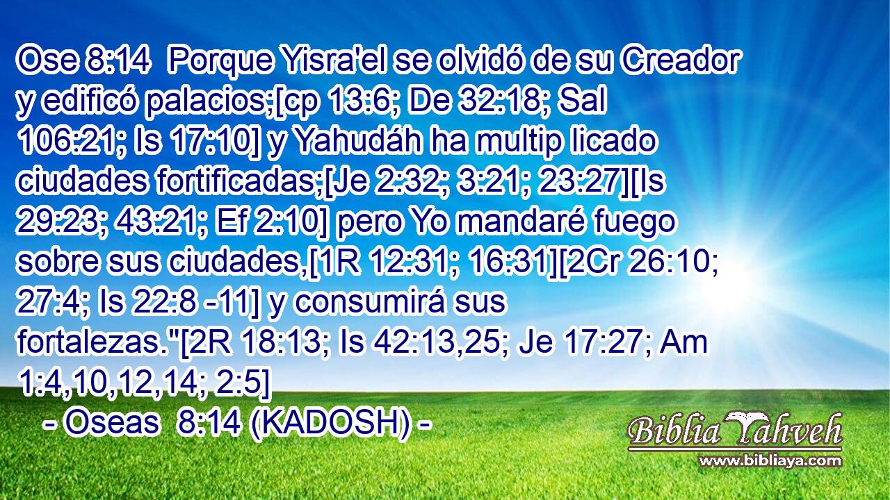  Porque Yisra'el se olvidó de su Creador y edificó palacios;[cp 13:6; De 32:18; Sal 106:21; Is 17:10] y Yahudáh ha multip licado ciudades fortificadas;[Je 2:32; 3:21; 23:27][Is 29:23; 43:21; Ef 2:10] pero Yo mandaré fuego sobre sus ciudades,[1R 12:31; 16:31][2Cr 26:10; 27:4; Is 22:8 -11] y consumirá sus fortalezas.