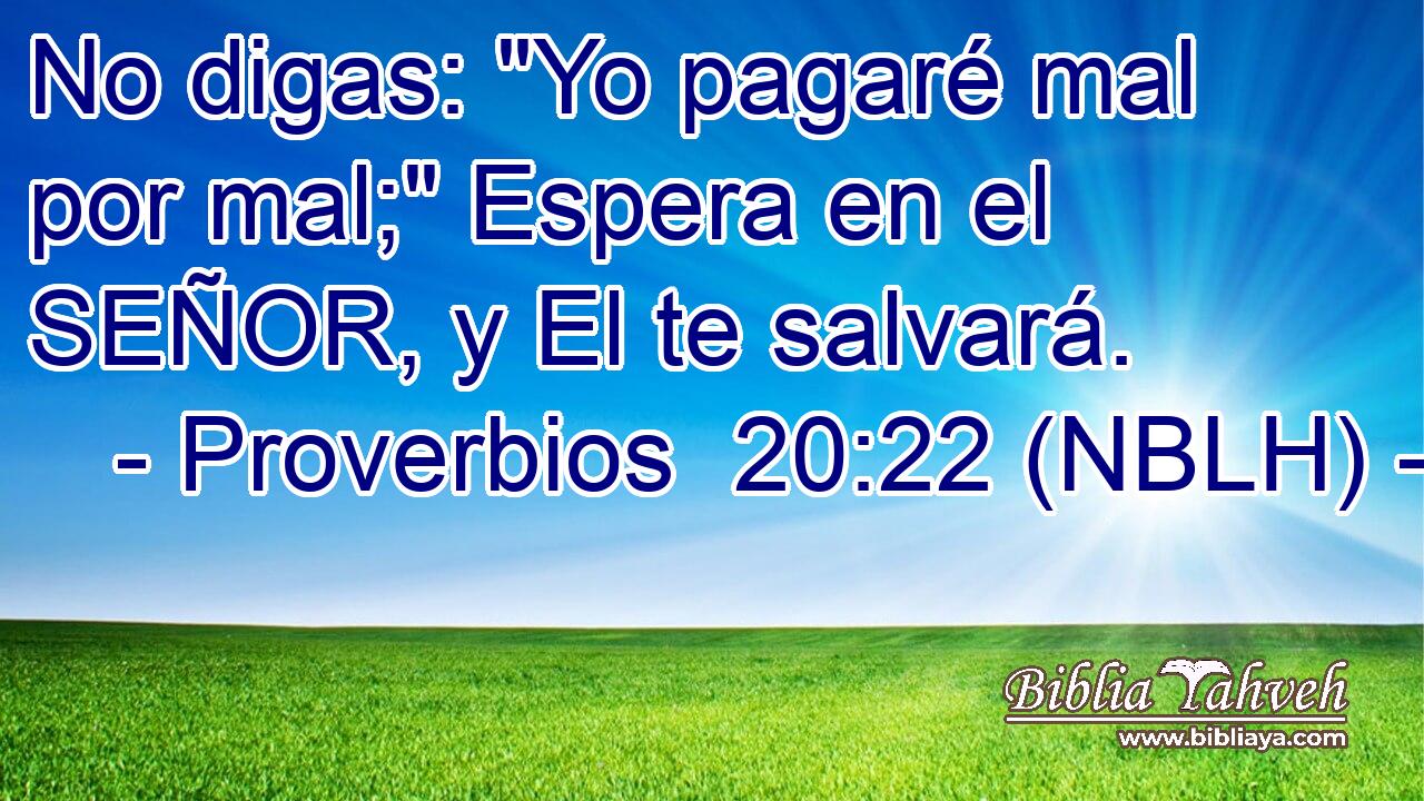  No digas: 