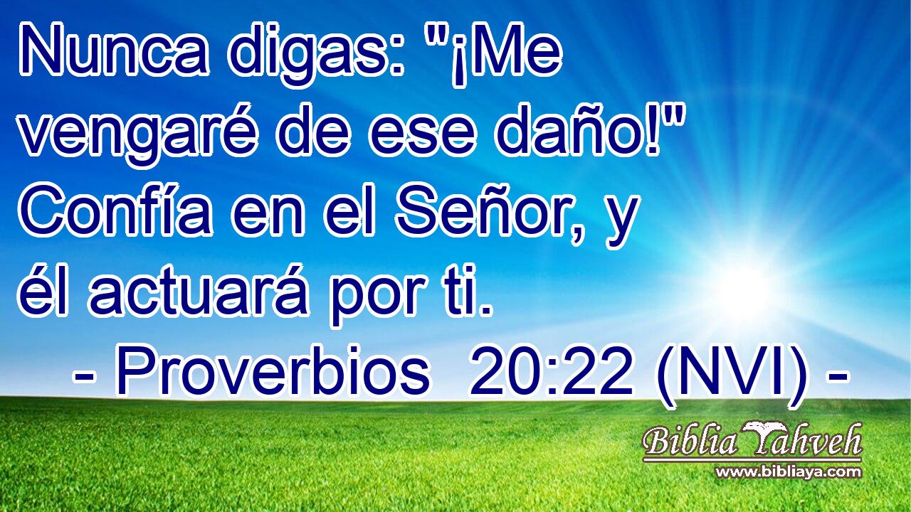  Nunca digas: 