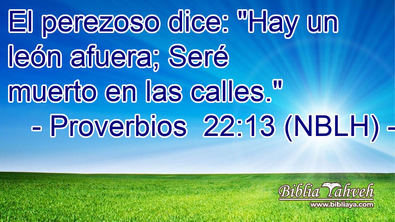  El perezoso dice: 