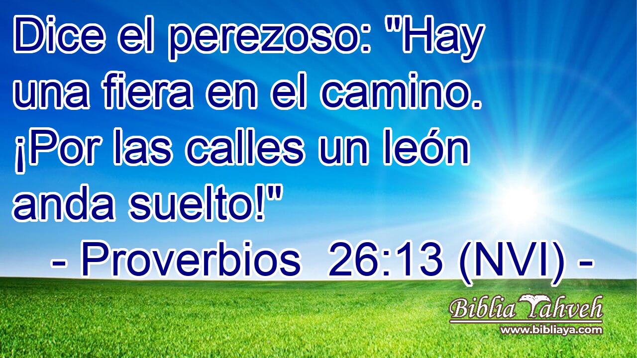  Dice el perezoso: 