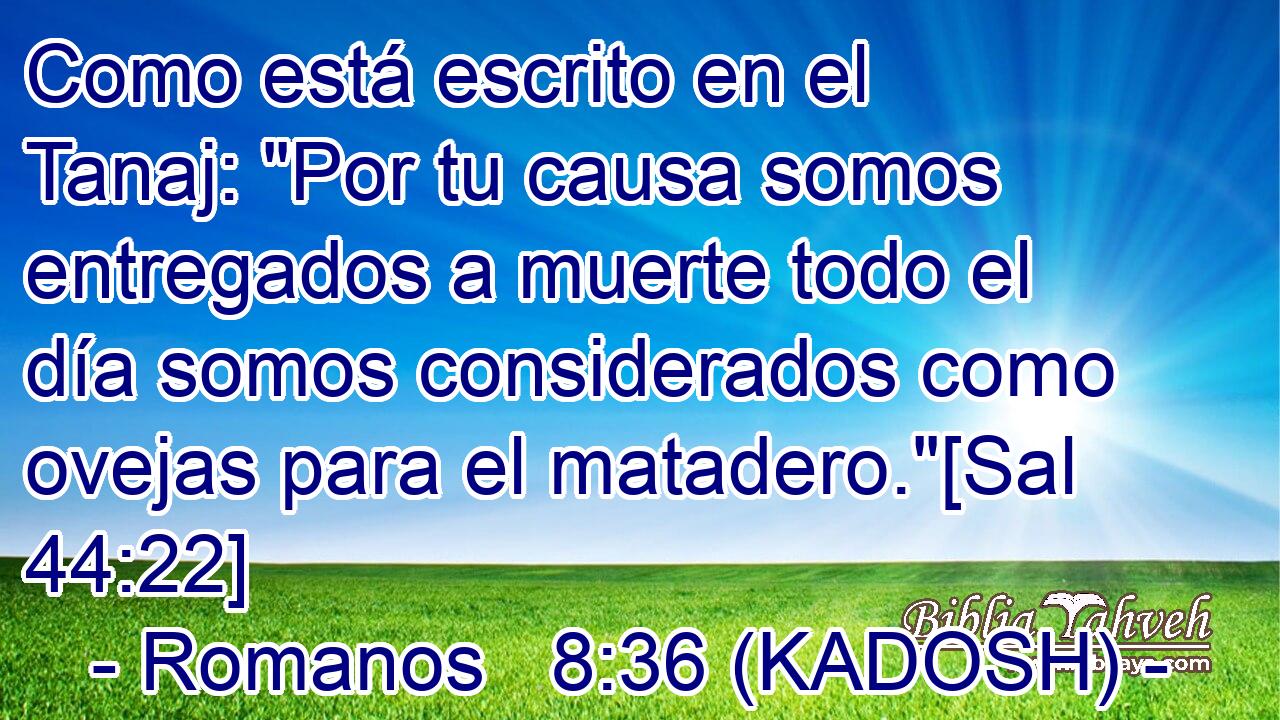  Como está escrito en el Tanaj: 
