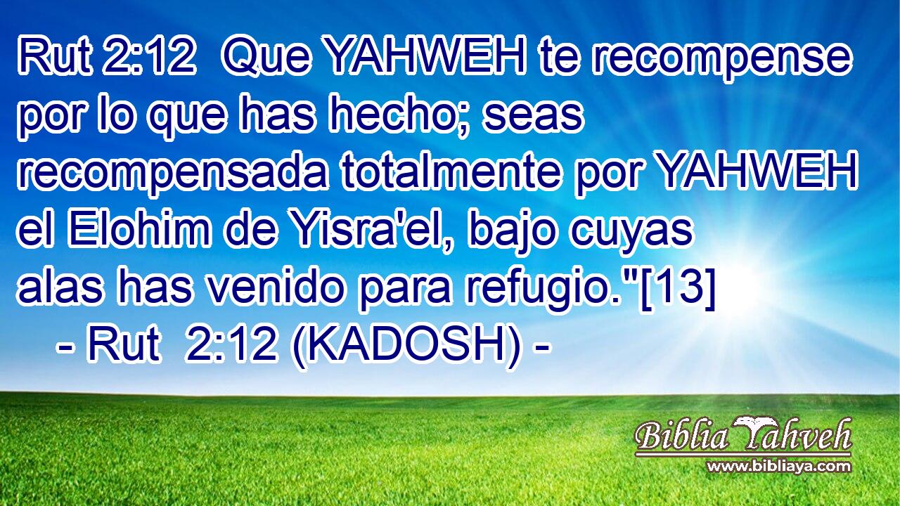  Que YAHWEH te recompense por lo que has hecho; seas recompensada totalmente por YAHWEH el Elohim de Yisra'el, bajo cuyas alas has venido para refugio.