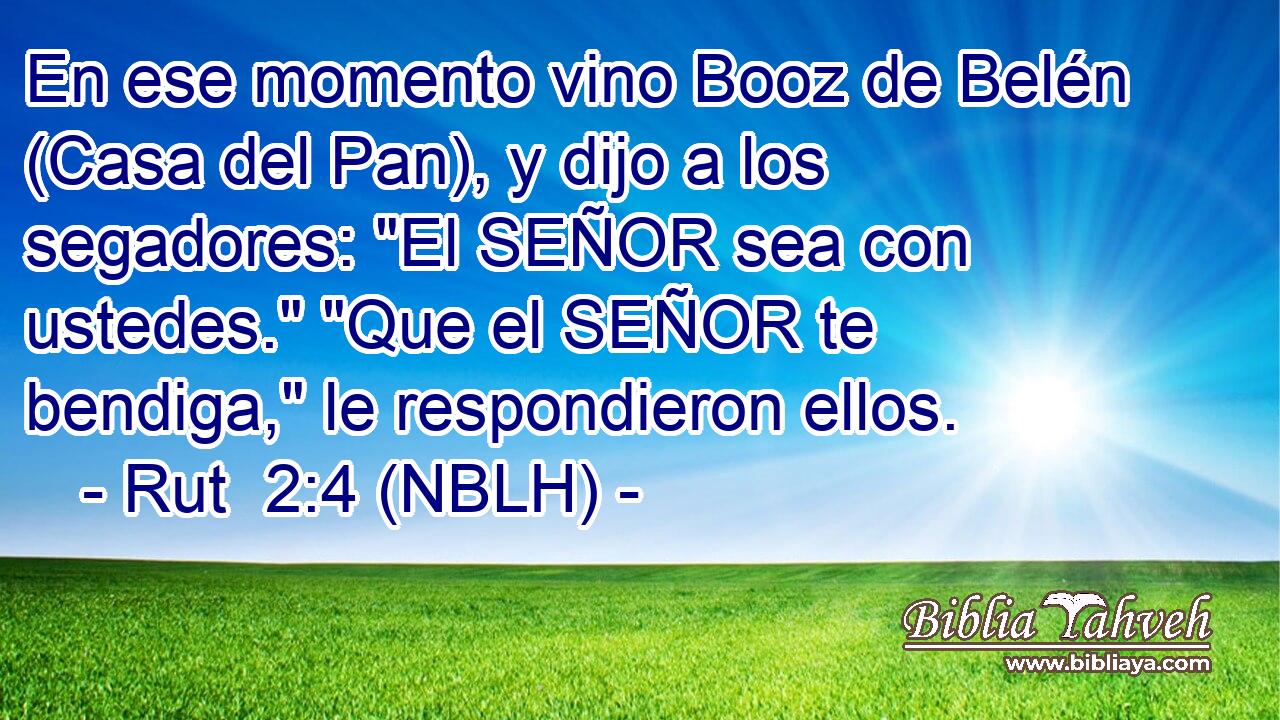  En ese momento vino Booz de Belén (Casa del Pan), y dijo a los segadores: 