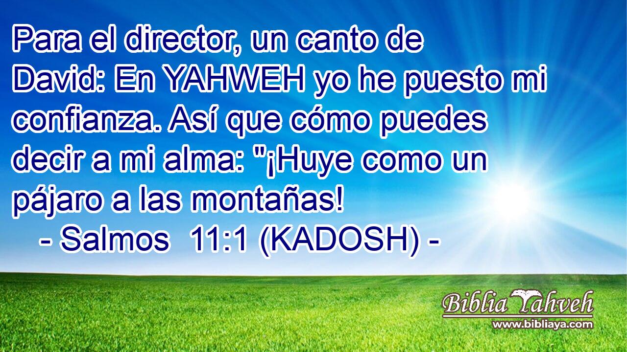  Para el director, un canto de David: En YAHWEH yo he puesto mi confianza. Así que cómo puedes decir a mi alma: 