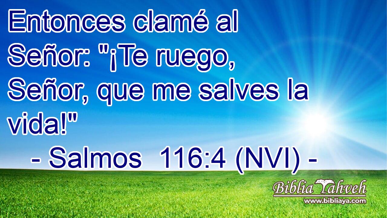  Entonces clamé al Señor: 