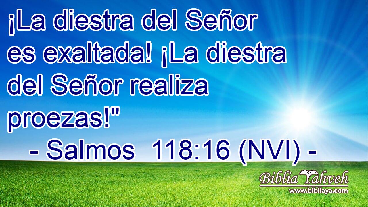  ¡La diestra del Señor es exaltada! ¡La diestra del Señor realiza proezas!
