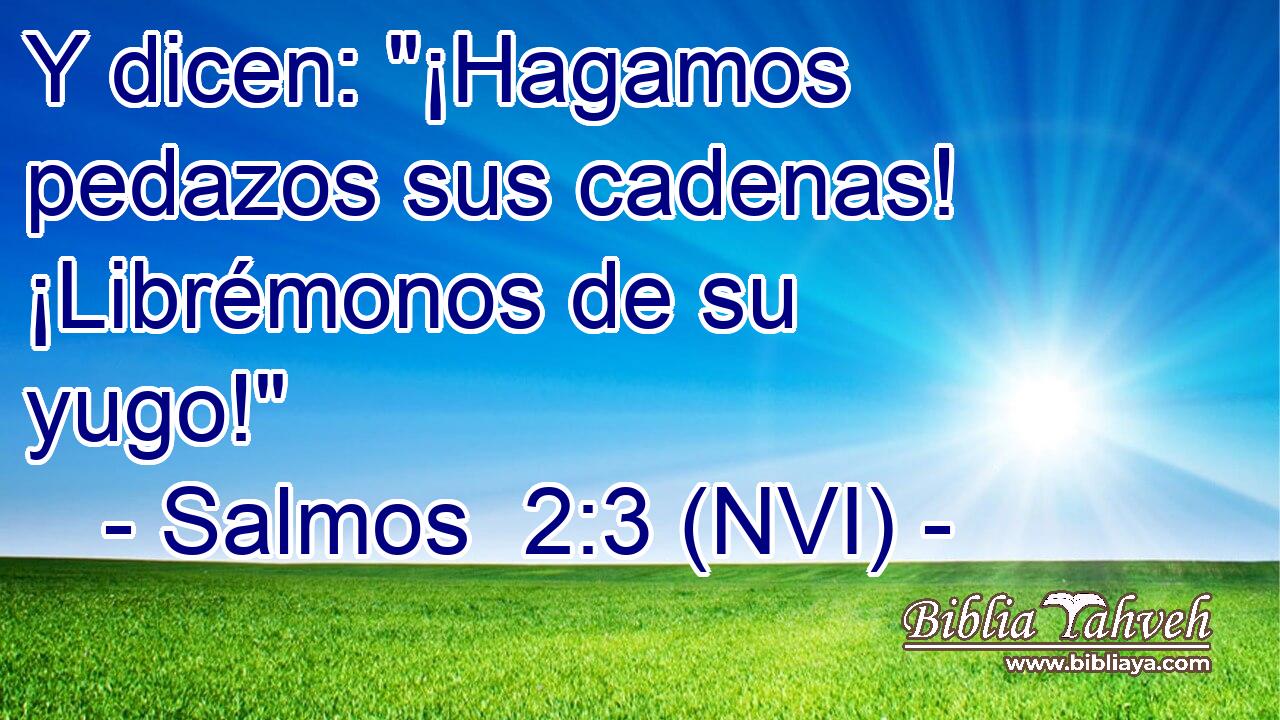  Y dicen: 
