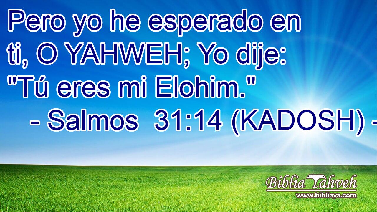 Pero yo he esperado en ti, O YAHWEH; Yo dije: 