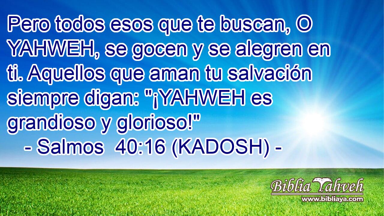  Pero todos esos que te buscan, O YAHWEH, se gocen y se alegren en ti. Aquellos que aman tu salvación siempre digan: 