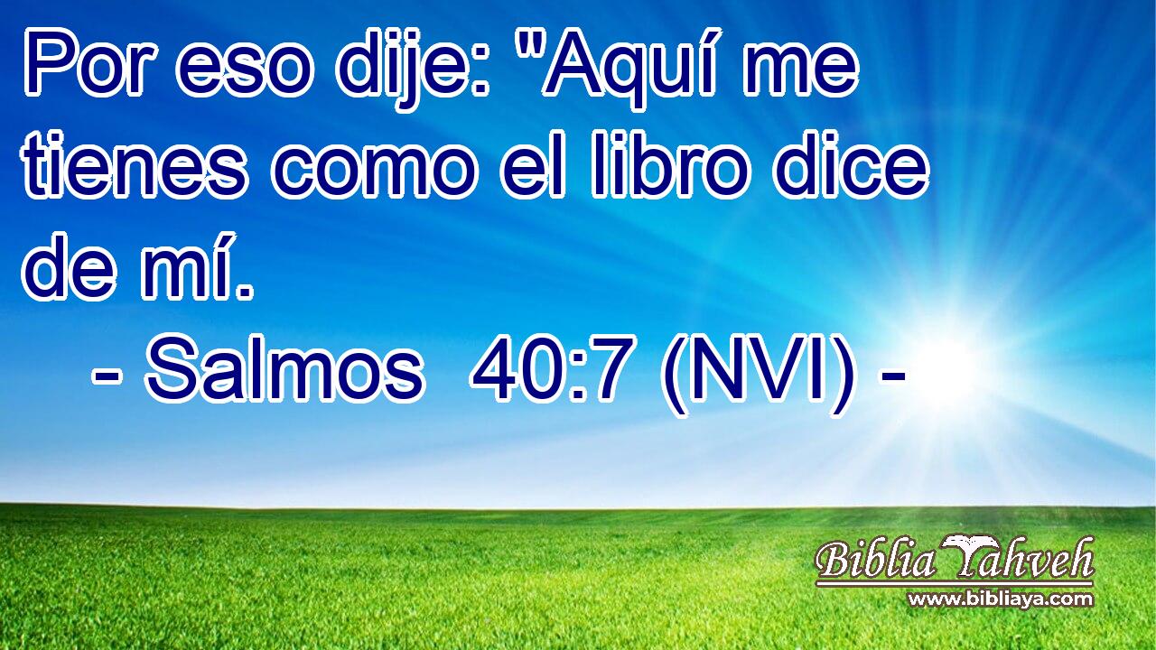  Por eso dije: 