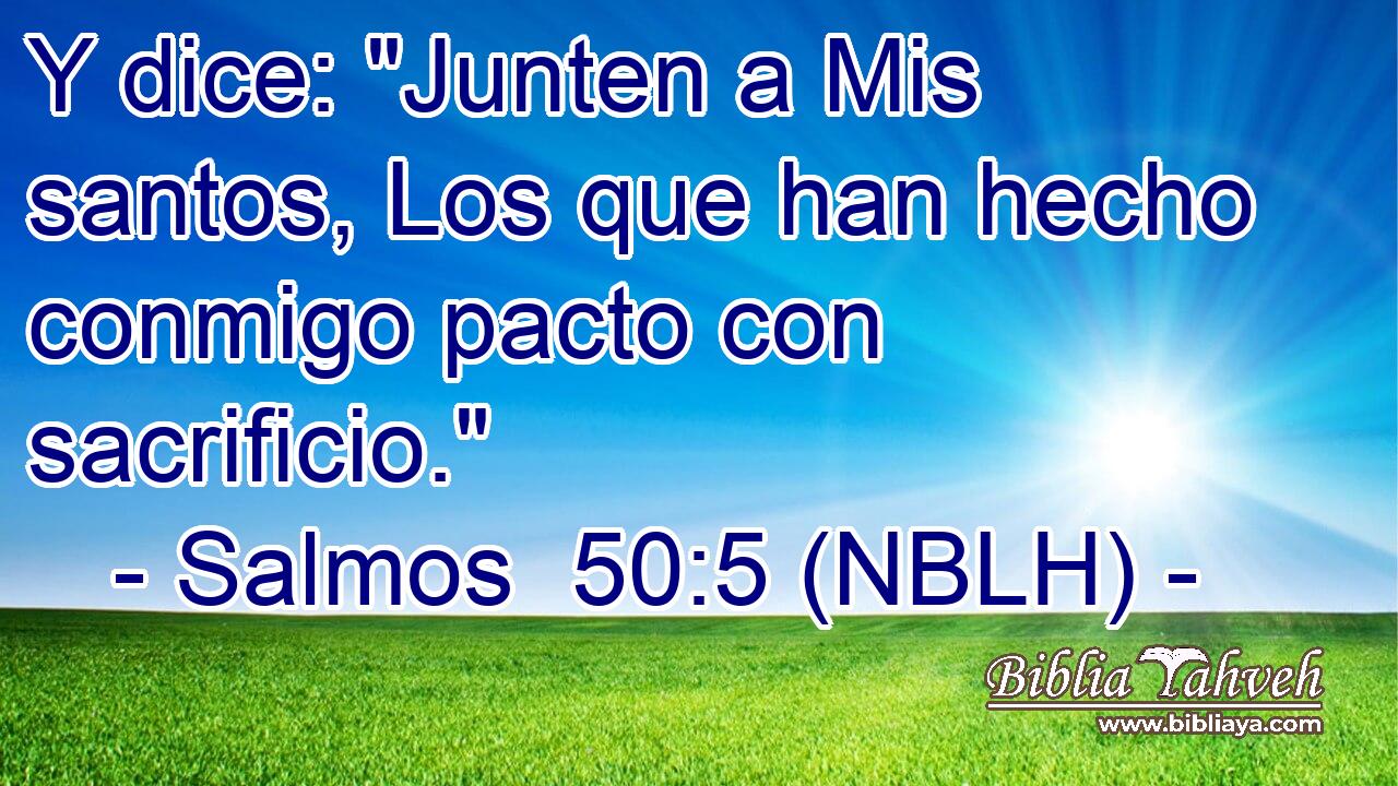  Y dice: 