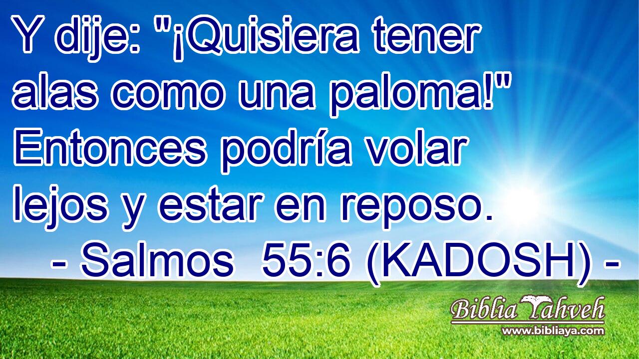  Y dije: 
