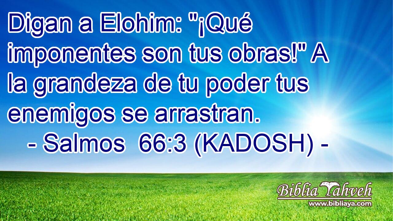  Digan a Elohim: 