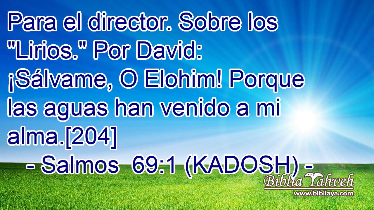  Para el director. Sobre los 
