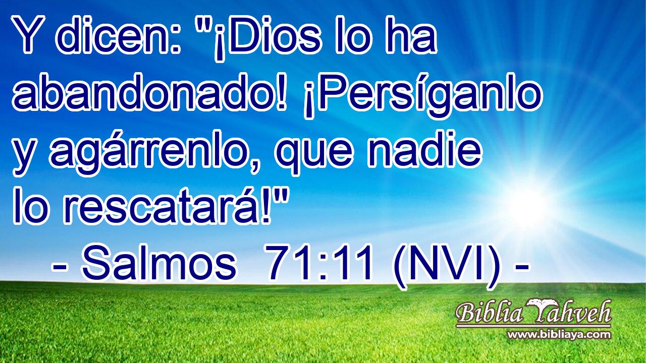  Y dicen: 
