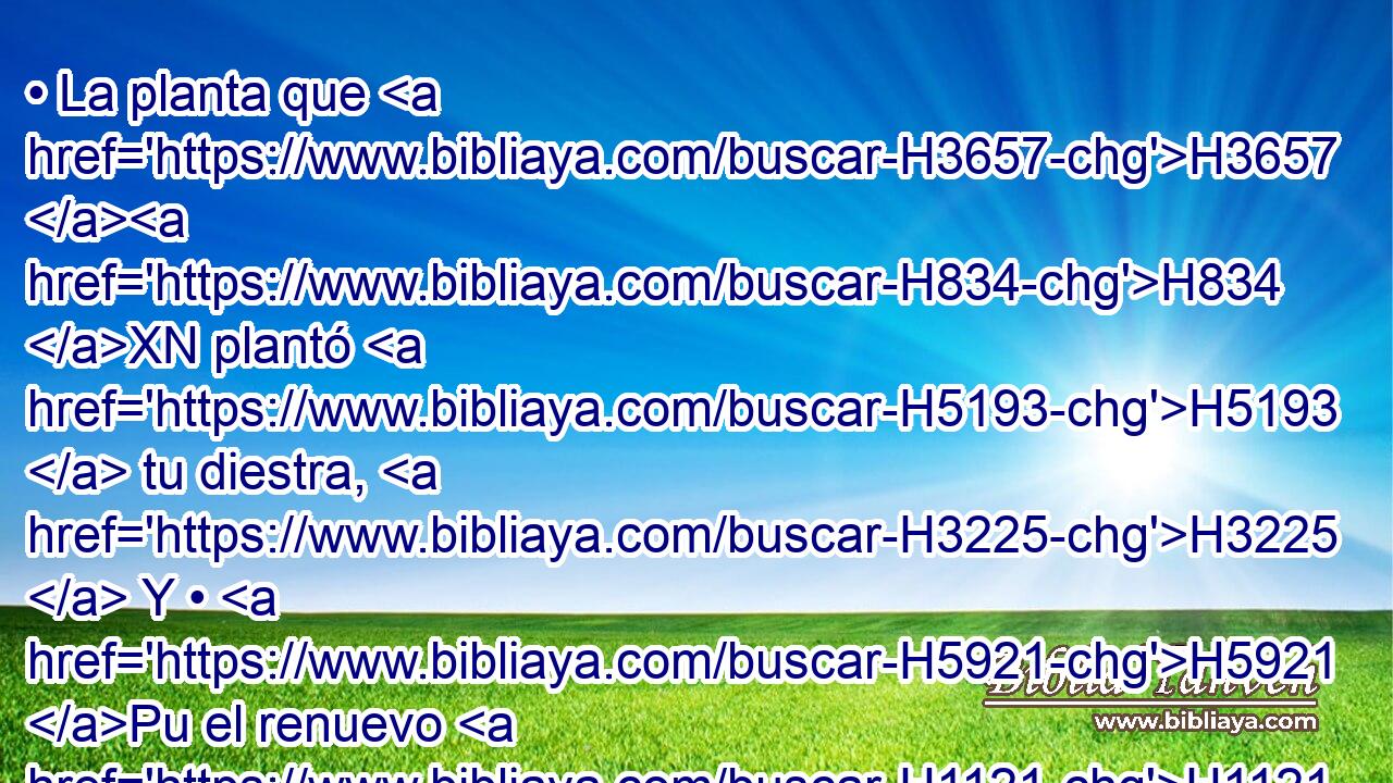 • La planta que H3657 H834 XN plantó H5193  tu diestra, H3225  Y • H5921 Pu el renuevo H1121  que para ti afirmaste. H553  