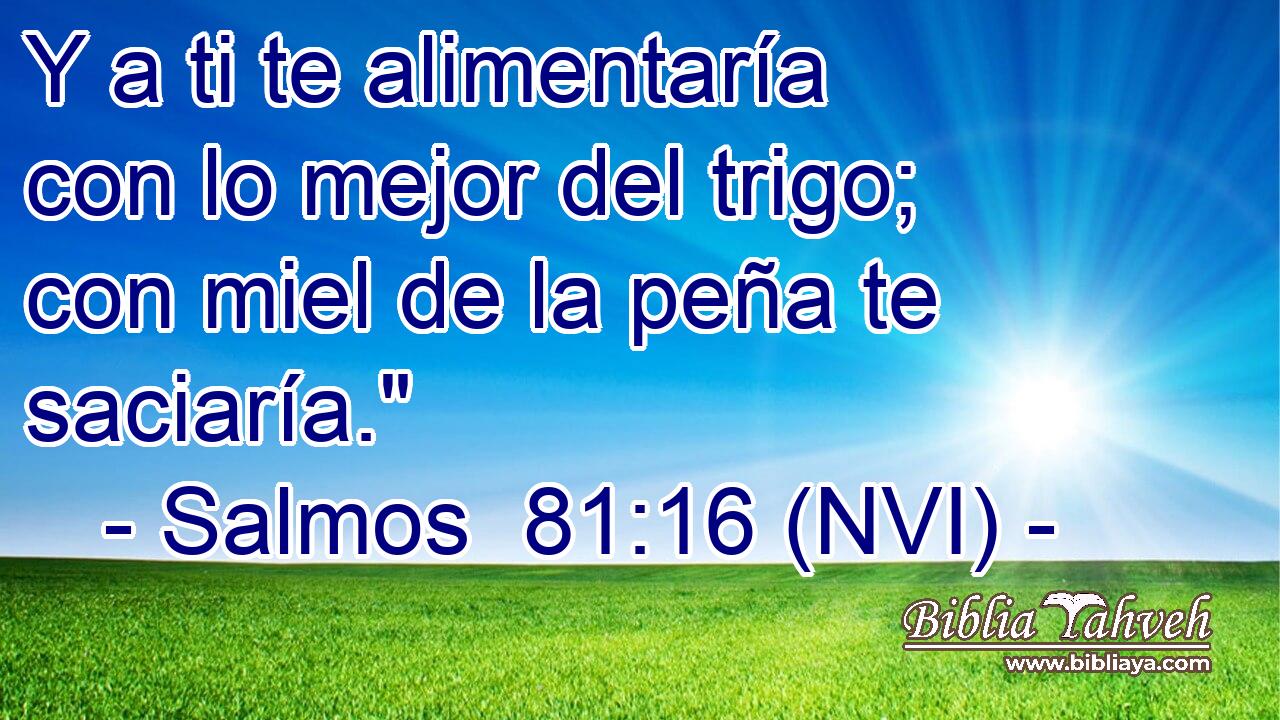  Y a ti te alimentaría con lo mejor del trigo; con miel de la peña te saciaría.