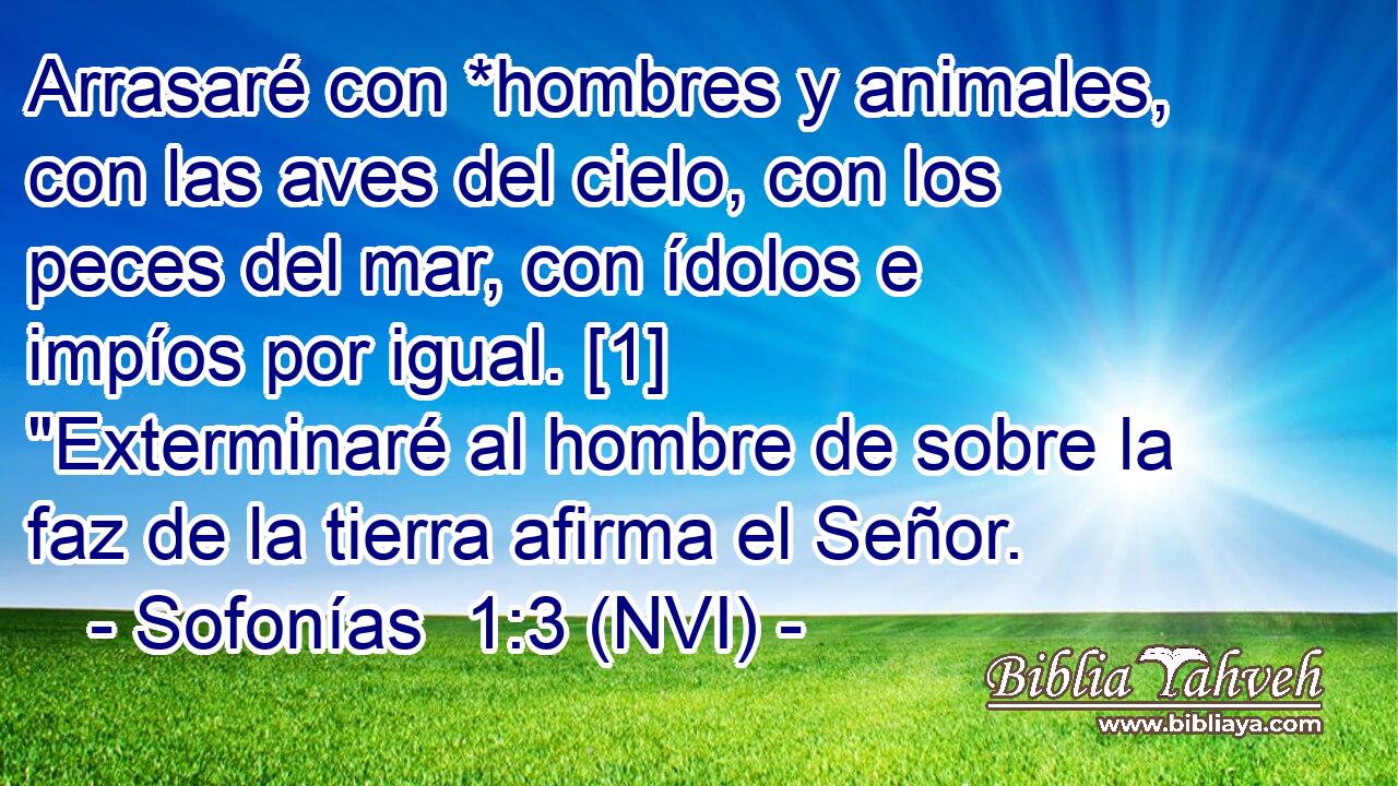  Arrasaré con *hombres y animales, con las aves del cielo, con los peces del mar, con ídolos e impíos por igual. [1] 
