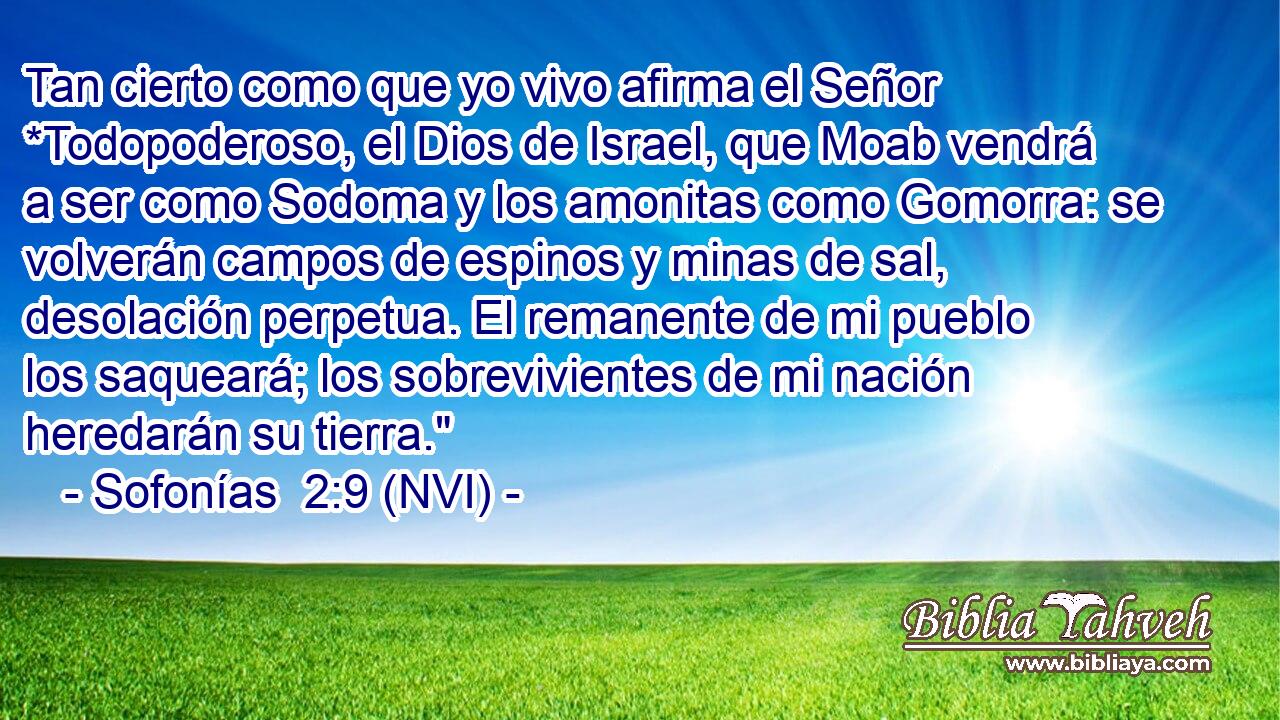  Tan cierto como que yo vivo afirma el Señor *Todopoderoso, el Dios de Israel, que Moab vendrá a ser como Sodoma y los amonitas como Gomorra: se volverán campos de espinos y minas de sal, desolación perpetua. El remanente de mi pueblo los saqueará; los sobrevivientes de mi nación heredarán su tierra.