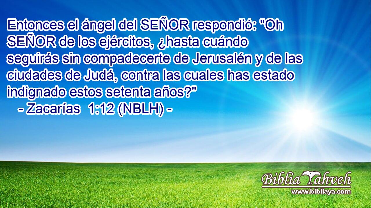  Entonces el ángel del SEÑOR respondió: 