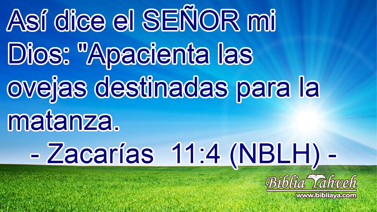  Así dice el SEÑOR mi Dios: 