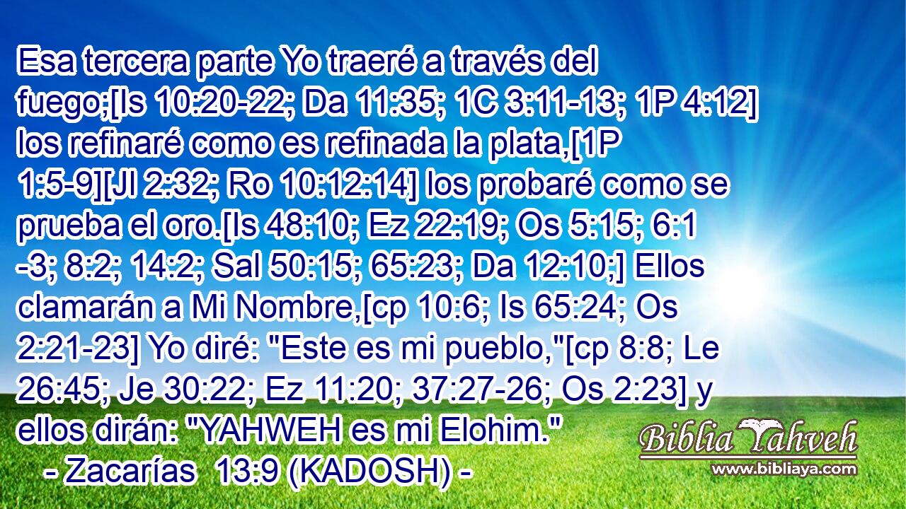  Esa tercera parte Yo traeré a través del fuego;[Is 10:20-22; Da 11:35; 1C 3:11-13; 1P 4:12] los refinaré como es refinada la plata,[1P 1:5-9][Jl 2:32; Ro 10:12:14] los probaré como se prueba el oro.[Is 48:10; Ez 22:19; Os 5:15; 6:1 -3; 8:2; 14:2; Sal 50:15; 65:23; Da 12:10;] Ellos clamarán a Mi Nombre,[cp 10:6; Is 65:24; Os 2:21-23] Yo diré: 