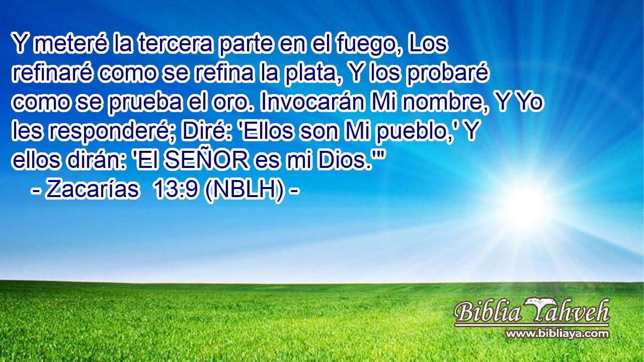 Y meteré la tercera parte en el fuego, Los refinaré como se refina la plata, Y los probaré como se prueba el oro. Invocarán Mi nombre, Y Yo les responderé; Diré: 'Ellos son Mi pueblo,' Y ellos dirán: 'El SEÑOR es mi Dios.'
