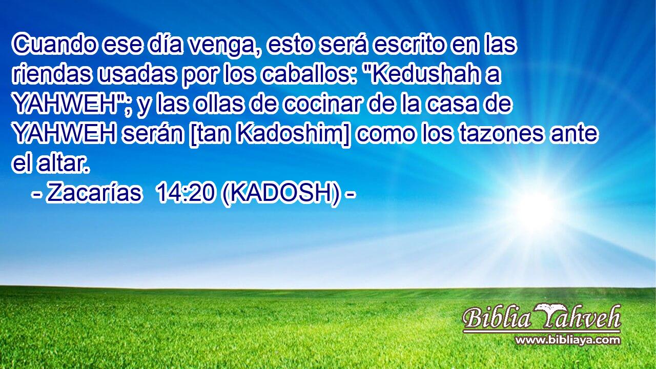  Cuando ese día venga, esto será escrito en las riendas usadas por los caballos: 