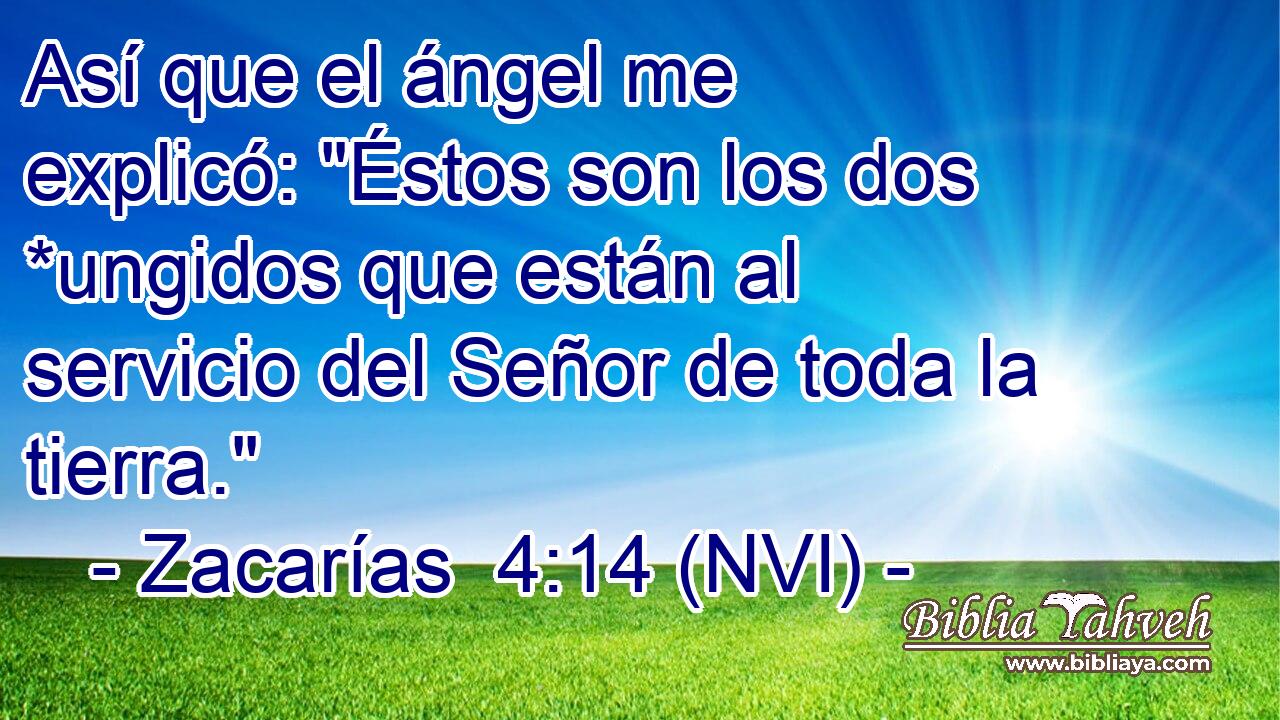  Así que el ángel me explicó: 