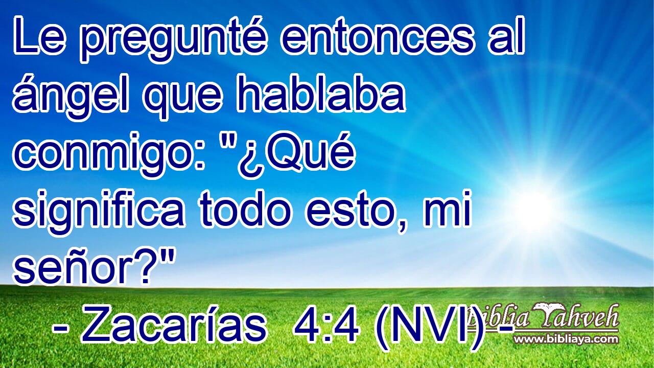  Le pregunté entonces al ángel que hablaba conmigo: 