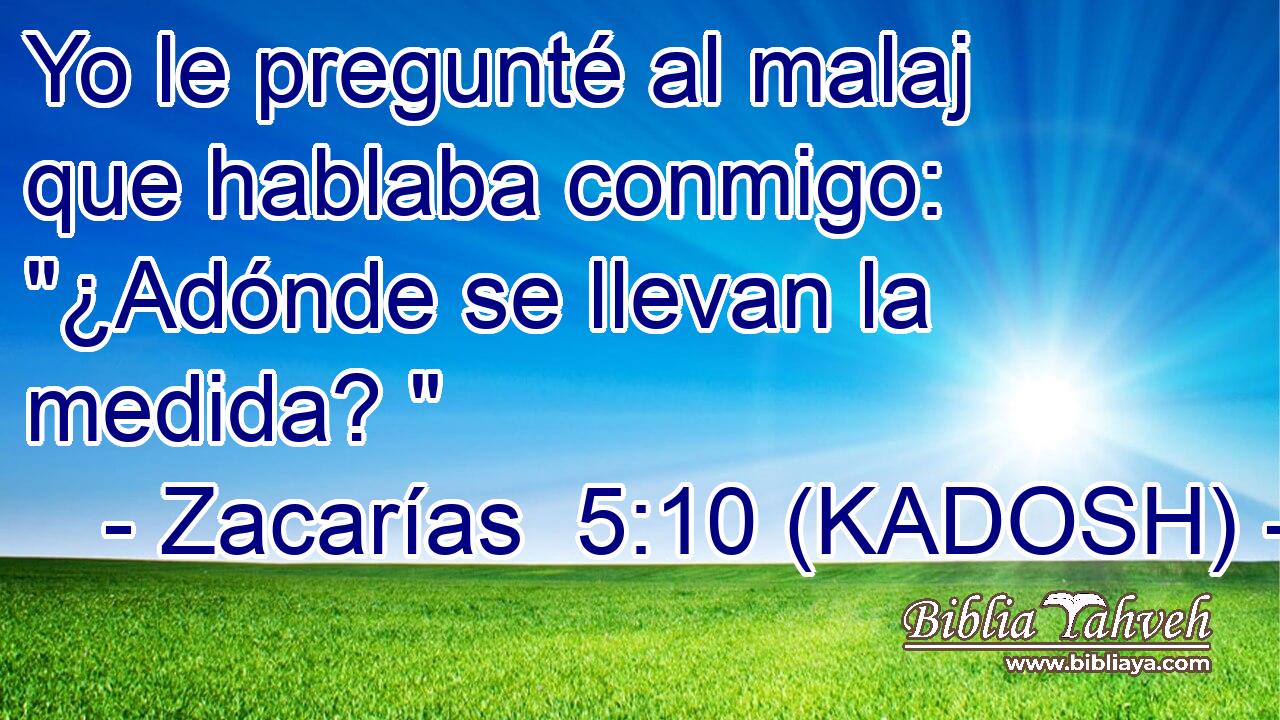  Yo le pregunté al malaj que hablaba conmigo: 