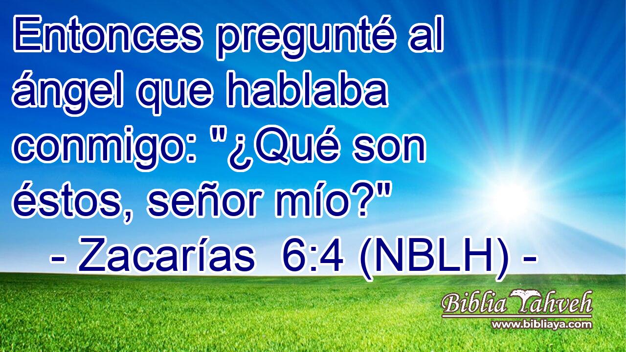  Entonces pregunté al ángel que hablaba conmigo: 
