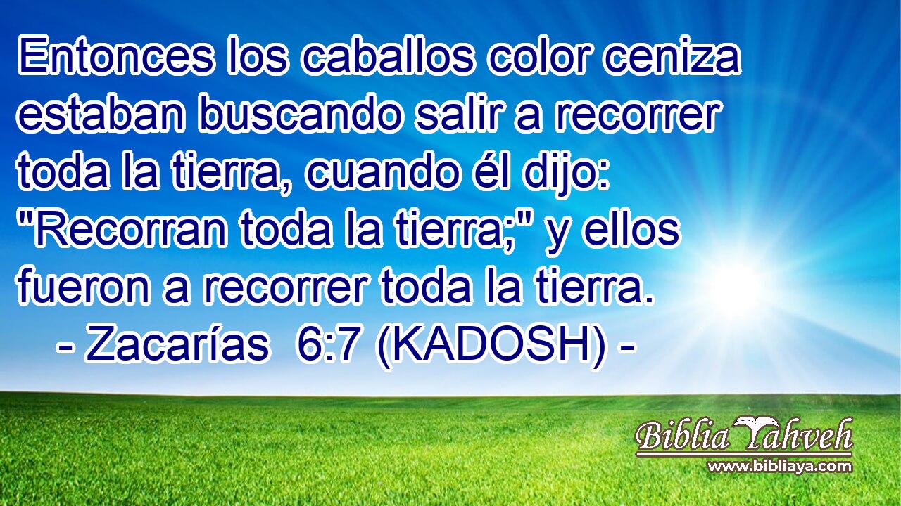  Entonces los caballos color ceniza estaban buscando salir a recorrer toda la tierra, cuando él dijo: 